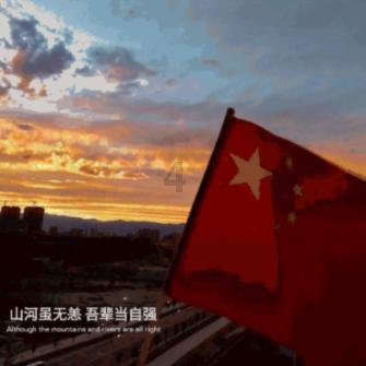 宁波港进口催化剂清关代理操作步骤拆解,解决进出口痛点